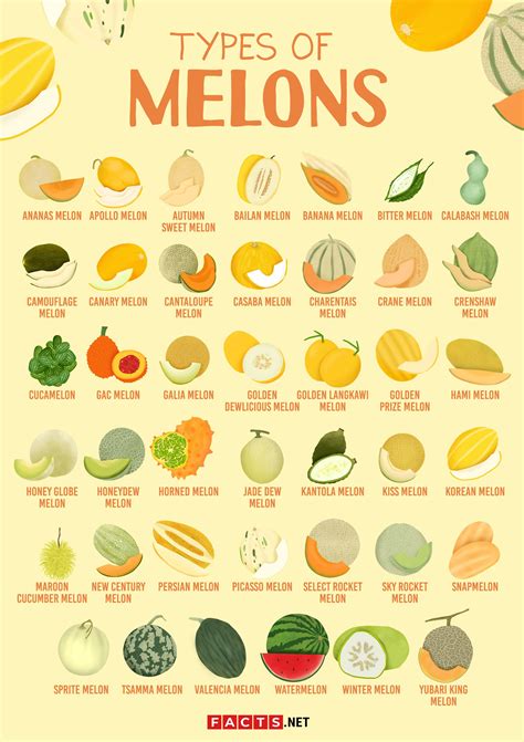 melons tue|Trying Every Type Of Melon 